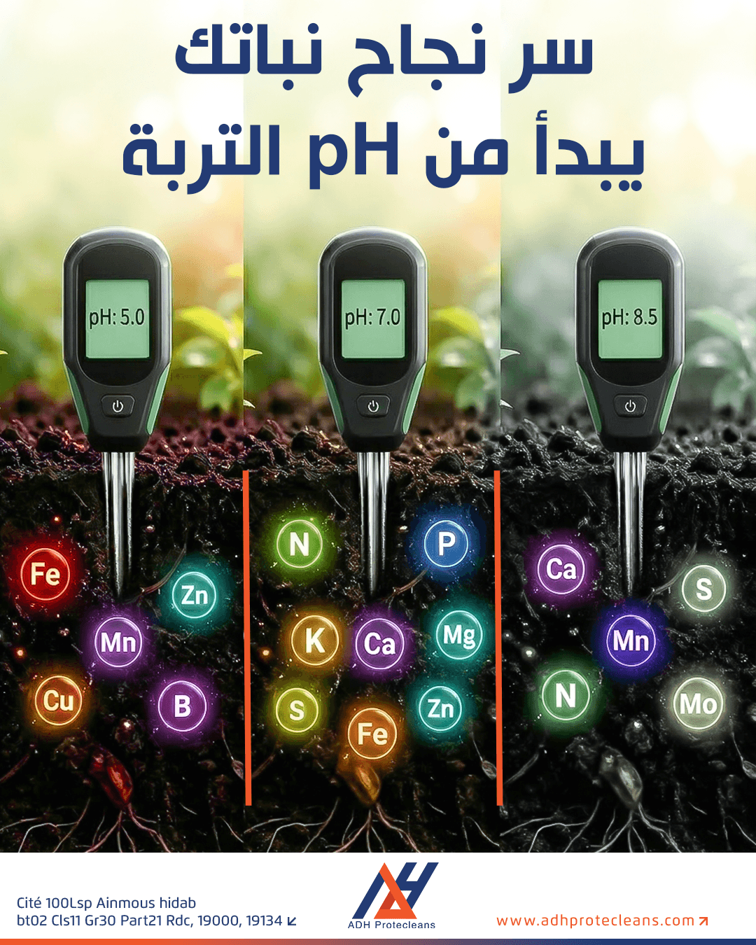 تأثير درجة حموضة التربة (pH) على توفر العناصر الغذائية للنباتات