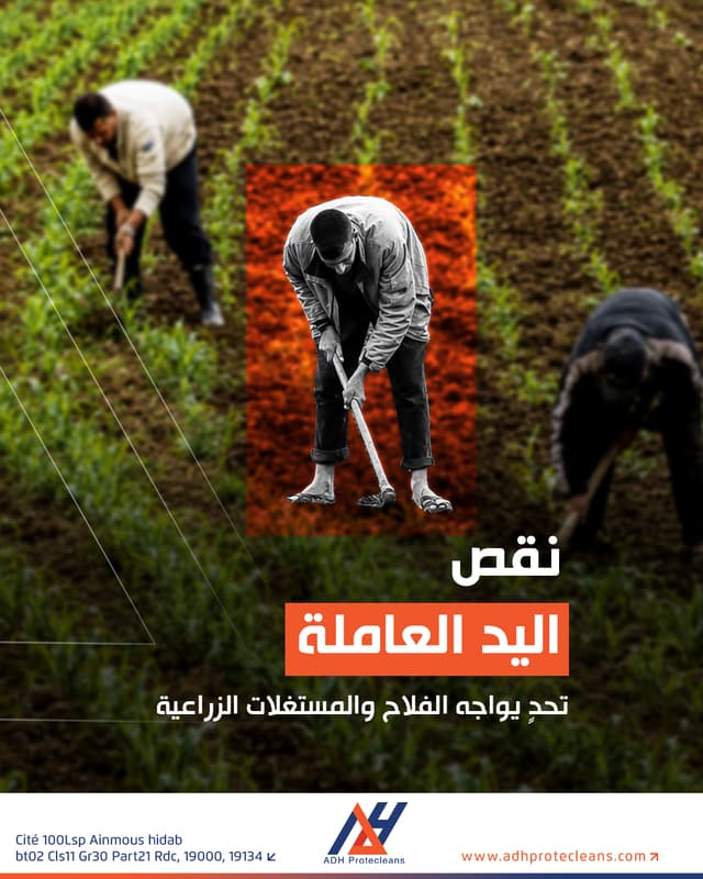 نقص اليد العاملة في القطاع الفلاحي بالجزائر: تحدٍ يواجه الفلاح والمستغلات الزراعية