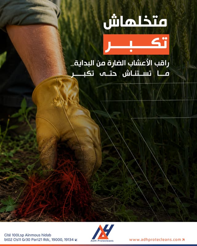 راقب الأعشاب الضارة من البداية… ما تستناش حتى تكبر