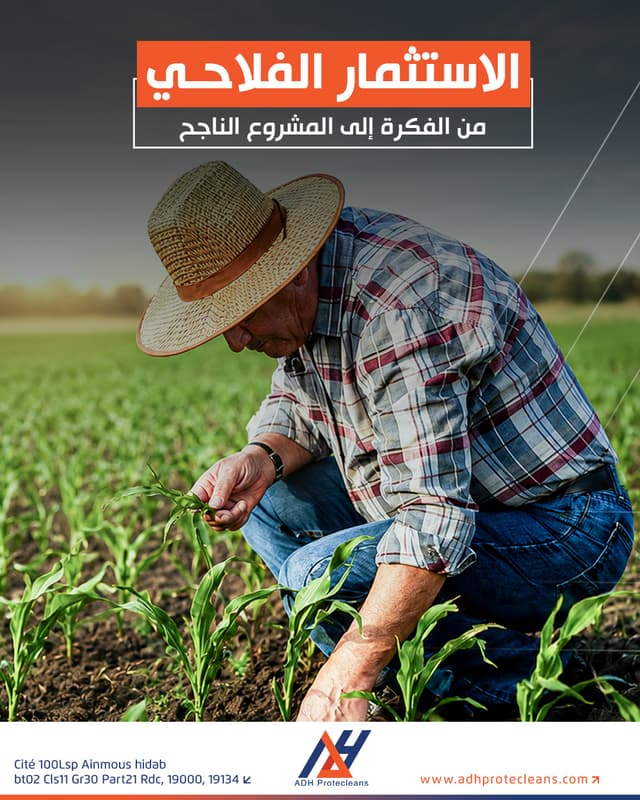 الاستثمار الفلاحي: من الفكرة إلى المشروع الناجح