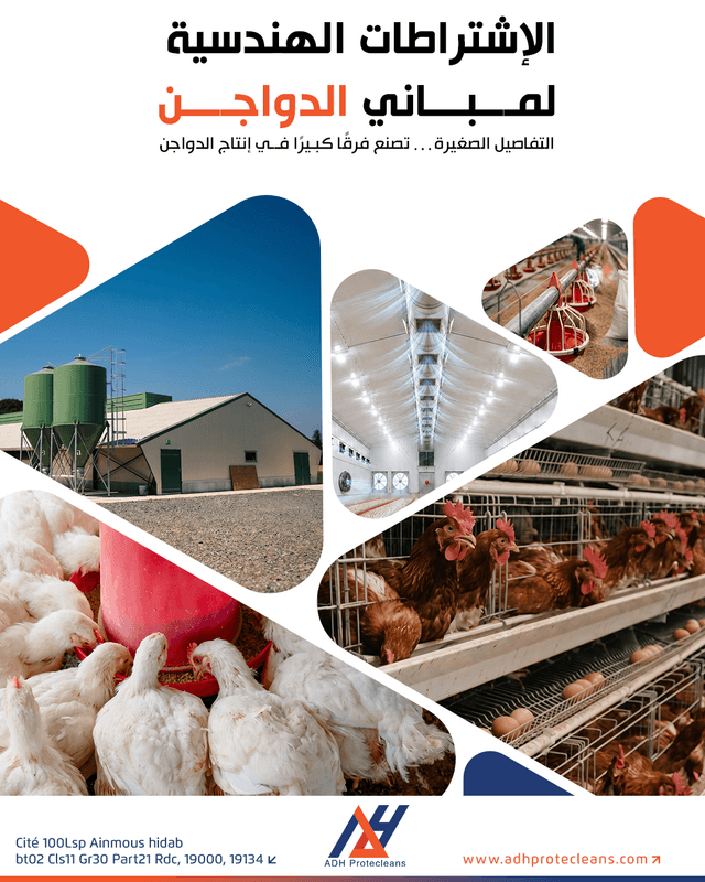 المعايير الهندسية لمباني الدواجن