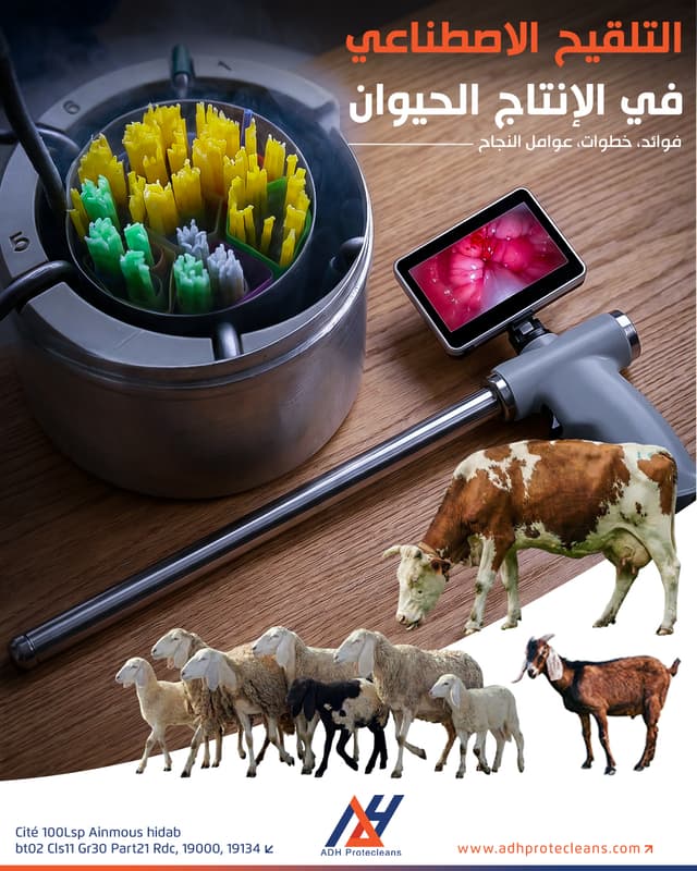 التلقيح الاصطناعي لدى الحيوان