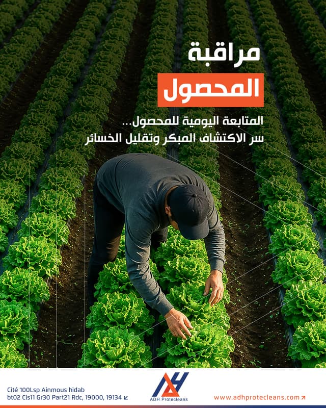 المتابعة اليومية للمحصول.. سر الاكتشاف المبكر وتقليل الخسائر