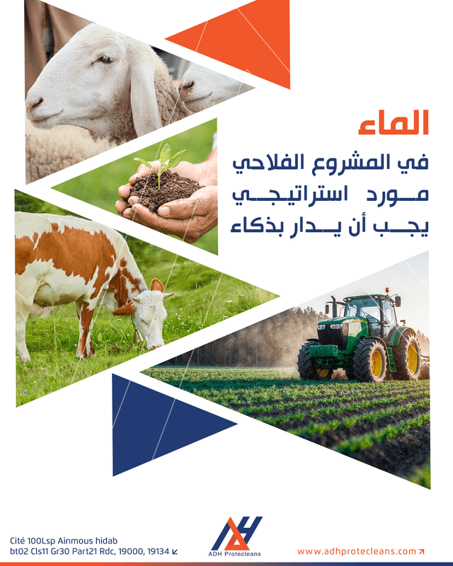 الماء في المشروع الفلاحي… مورد استراتيجي يجب أن يُدار بذكاء